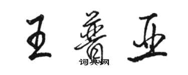 駱恆光王普亞行書個性簽名怎么寫