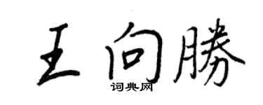 王正良王向勝行書個性簽名怎么寫