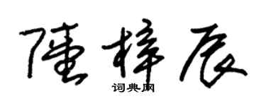 朱錫榮陸梓辰草書個性簽名怎么寫