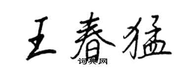 王正良王春猛行書個性簽名怎么寫