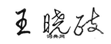 駱恆光王曉政行書個性簽名怎么寫