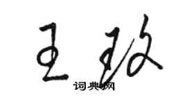 駱恆光王玫草書個性簽名怎么寫