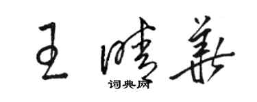 駱恆光王晴華草書個性簽名怎么寫