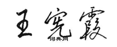 駱恆光王憲霞行書個性簽名怎么寫