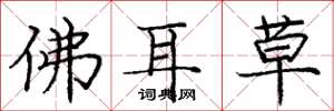 龐中華佛耳草楷書怎么寫