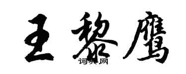 胡問遂王黎鷹行書個性簽名怎么寫