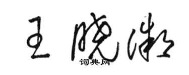 駱恆光王曉微草書個性簽名怎么寫