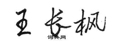 駱恆光王長楓行書個性簽名怎么寫