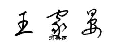 梁錦英王家晏草書個性簽名怎么寫