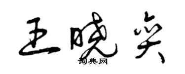 曾慶福王曉奕草書個性簽名怎么寫