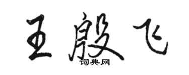 駱恆光王殷飛行書個性簽名怎么寫