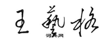 駱恆光王藝格草書個性簽名怎么寫