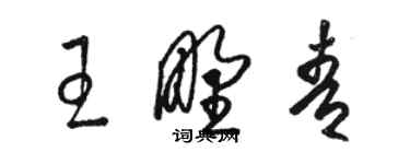 駱恆光王野青草書個性簽名怎么寫