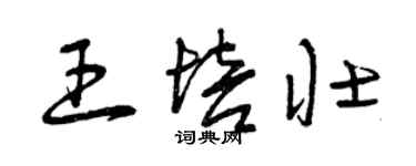 曾慶福王培壯草書個性簽名怎么寫