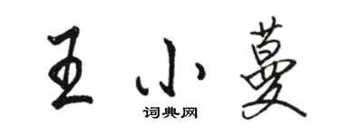 駱恆光王小蔓行書個性簽名怎么寫