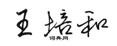 駱恆光王培和行書個性簽名怎么寫