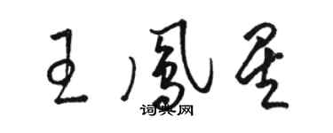 駱恆光王鳳星草書個性簽名怎么寫