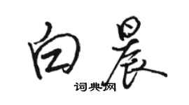 駱恆光白晨行書個性簽名怎么寫