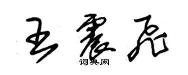 朱錫榮王震飛草書個性簽名怎么寫