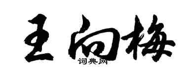 胡問遂王向梅行書個性簽名怎么寫