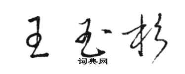 駱恆光王玉杉草書個性簽名怎么寫