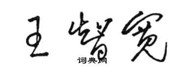 駱恆光王智寬草書個性簽名怎么寫