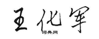 駱恆光王化軍行書個性簽名怎么寫