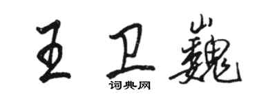 駱恆光王衛巍行書個性簽名怎么寫