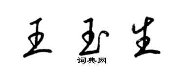 梁錦英王玉生草書個性簽名怎么寫
