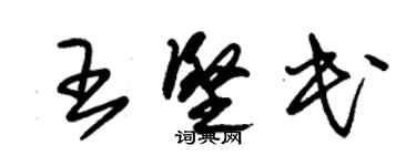 朱錫榮王堅民草書個性簽名怎么寫