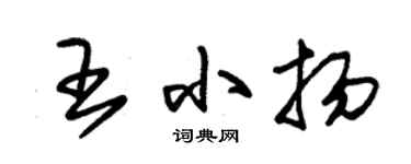 朱錫榮王小揚草書個性簽名怎么寫