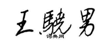 王正良王驍男行書個性簽名怎么寫