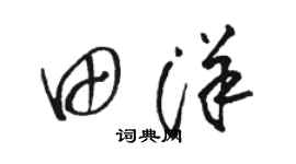 駱恆光田洋草書個性簽名怎么寫
