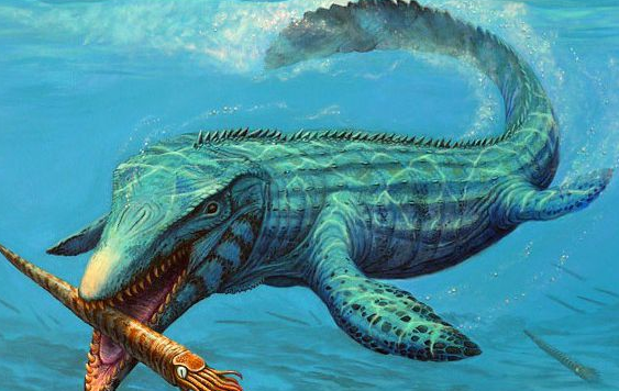 滄龍竟是龍族最強者 滄龍種群分布