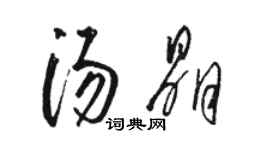 駱恆光湯晶草書個性簽名怎么寫