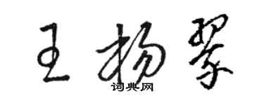 駱恆光王楊翠草書個性簽名怎么寫