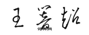 駱恆光王響超草書個性簽名怎么寫