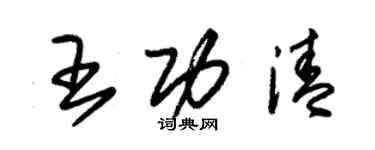 朱錫榮王功清草書個性簽名怎么寫