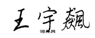 王正良王宇飆行書個性簽名怎么寫