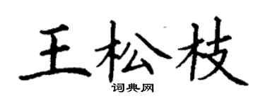 丁謙王松枝楷書個性簽名怎么寫