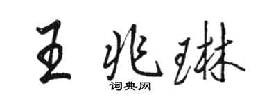駱恆光王兆琳行書個性簽名怎么寫
