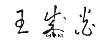 駱恆光王成炎草書個性簽名怎么寫