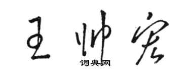 駱恆光王帥宏草書個性簽名怎么寫