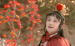 江南四大才子徐禎卿簡介 徐禎卿是怎么死的?