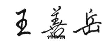 駱恆光王善岳行書個性簽名怎么寫