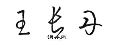 駱恆光王長丹草書個性簽名怎么寫