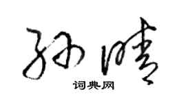 駱恆光孫晴草書個性簽名怎么寫