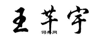 胡問遂王芊宇行書個性簽名怎么寫