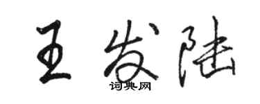 駱恆光王發陸行書個性簽名怎么寫