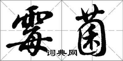 胡問遂黴菌行書怎么寫